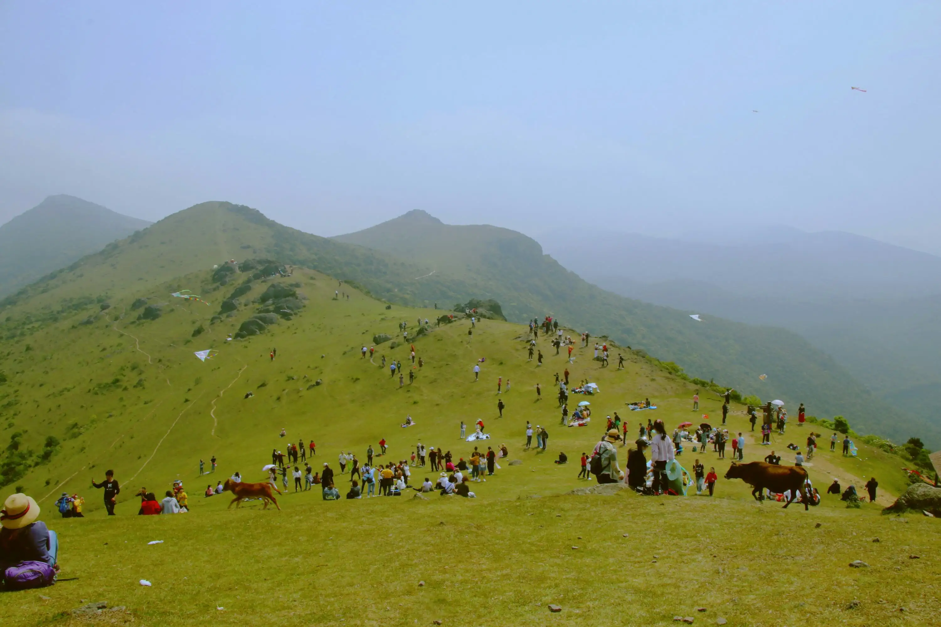 福清哪里可以烧烤的地方