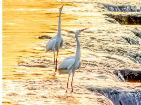 天宝陂(世界灌溉工程遗产名录)