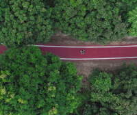 福清玉屏街道玉龙森林步道