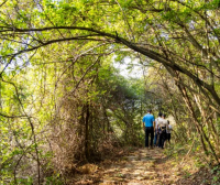 福清阳下街道状元古驿道森林步道