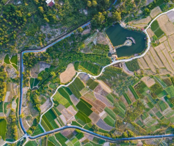 福清宏路街道田园步道