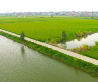 福清港头镇沁塘村水稻公园步道