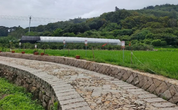 福清城头镇湖美村生态绿道