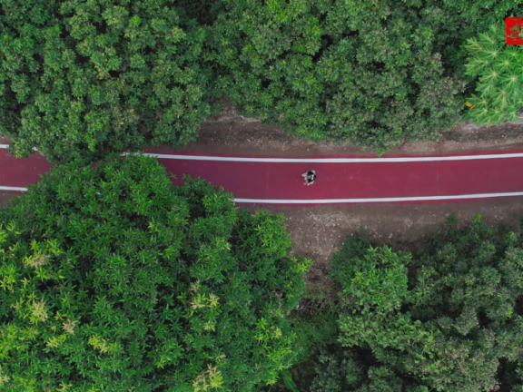 福清玉屏街道玉龙森林步道