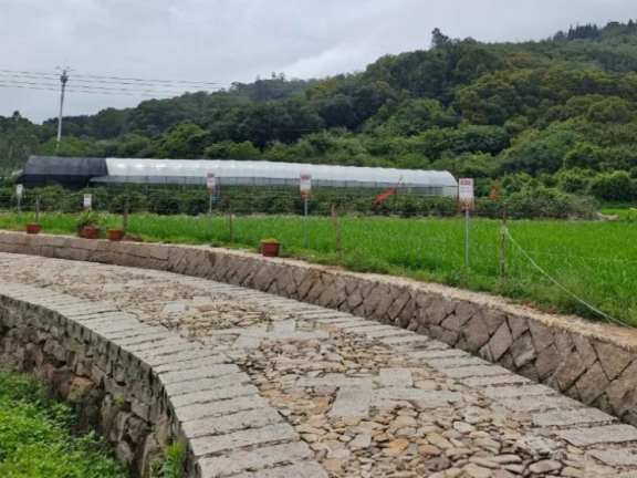 福清城头镇湖美村生态绿道