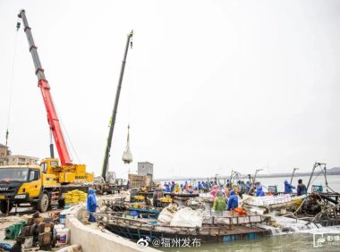 福清市三山镇迎来花蛤采收季