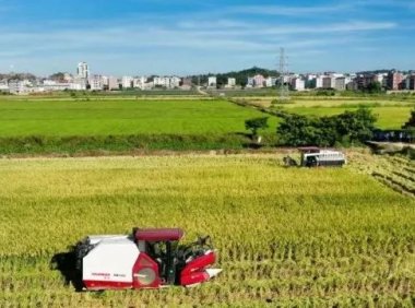 福清16个村上榜“一村一品”专业村