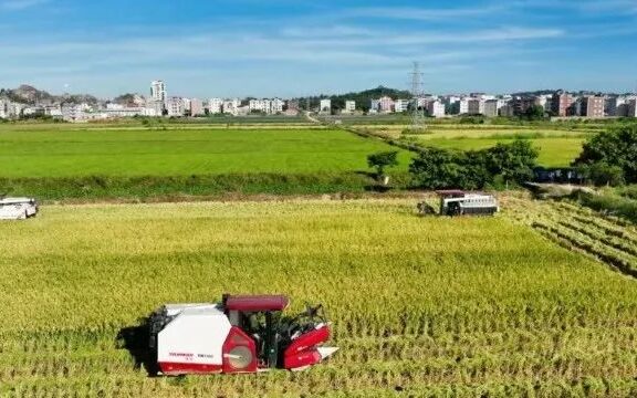 福清16个村上榜“一村一品”专业村