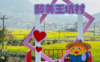 福清一都镇王坑村300多亩的油菜花盛开