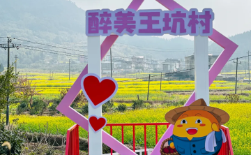 福清一都镇王坑村300多亩的油菜花盛开