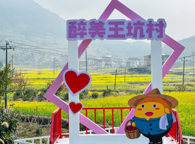 福清一都镇王坑村300多亩的油菜花盛开